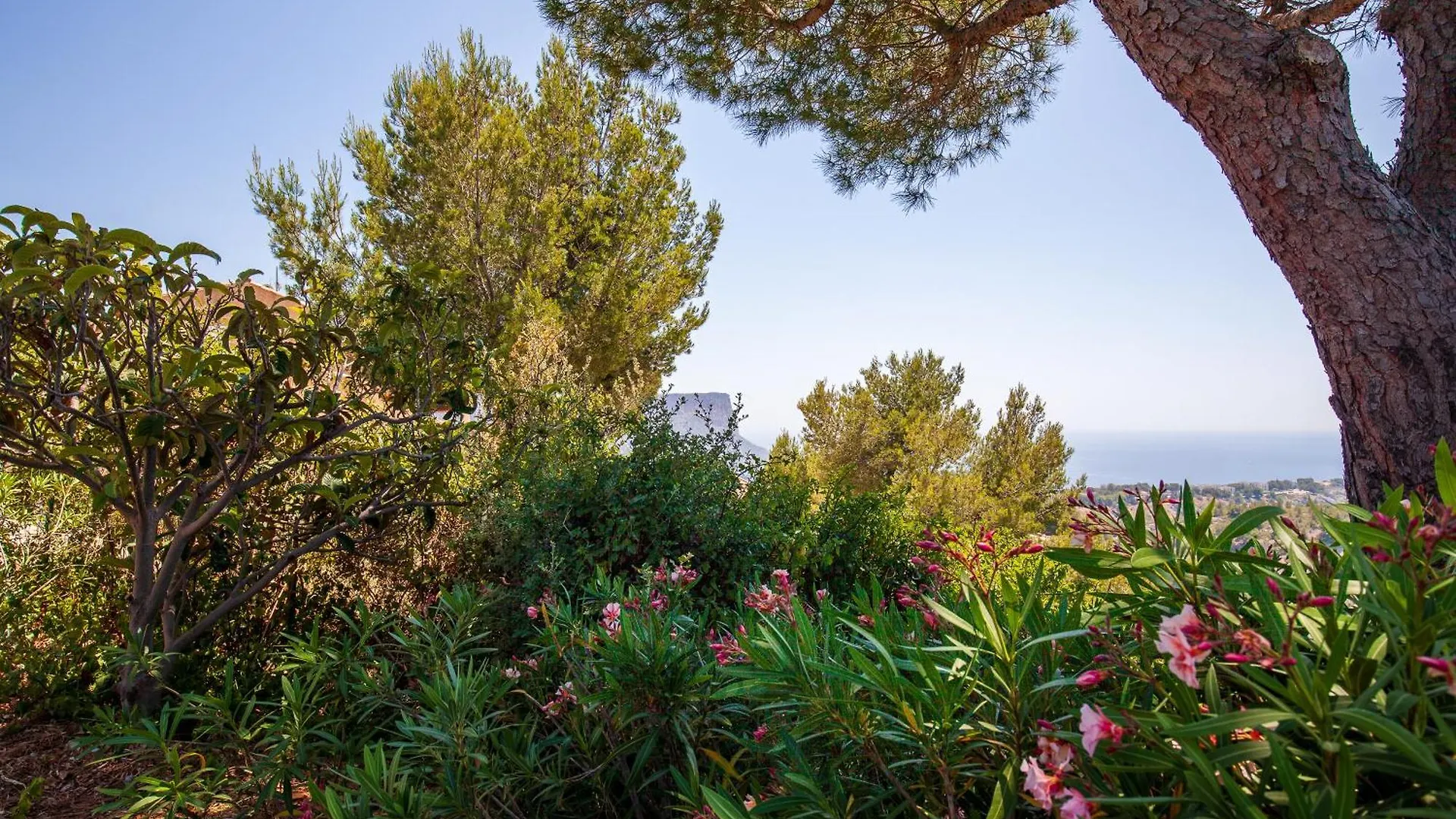 Apartment Cote Mer Cassis